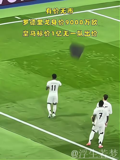 英超五豪门盯上罗德里戈,皇马标价1亿欧起 英超五豪门盯上罗德里戈,皇马标价1亿欧起